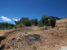 Foto COD 070 Terreno agricolo 5000 mq piano Stoppa