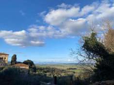 Foto Collina  7 km dal mare  appartamento con giardino