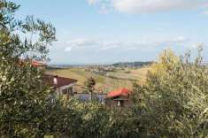 Foto COLLINA TRE MONTI