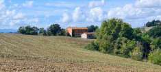 Foto Colonica in vendita a Asciano 1000 mq  Rif: 536015