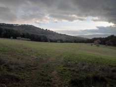 Foto Colonica in vendita a Casole d'Elsa 600 mq  Rif: 1034077