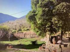 Foto Colonica in vendita a Castelmaggiore - Calci 452 mq  Rif: 146308