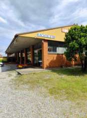 Foto COMUN NUOVO 2 CAPANNONI DICUI UNO COMMERCIALE + AREA 4000 MQ