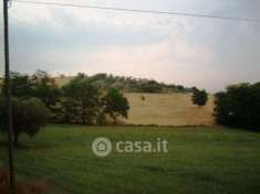 Foto Controguerra vendesi terreno edificabile 28000 Mq