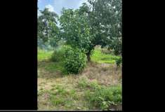 Foto Duplex in Vendita, pi di 6 Locali, 130 mq, Casciana Terme Lari