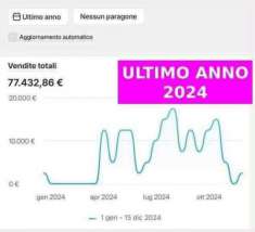 Foto Ecommerce dropshipping settore  77.000  fatturato, pronto alluso