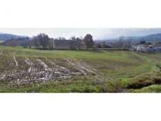 Foto Edificabile in luzzi