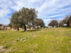 Foto Edificabile in Strada Comunale Colle Vento