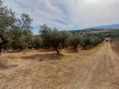 Foto Edificabile in Strada Vicinale Raganella