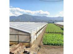 Foto Edificabile in Via Passanti