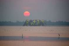 Foto ESCLUSIVA AREA AGRICOLA PROSPICIENTE ALLA LAGUNA DI VENEZIA CON ARGINI FISSI