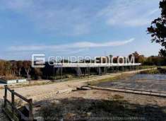 Foto Fabbricati costruiti per esigenze commerciali in vendita a Altivole - Rif. 4504440