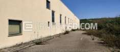 Foto Fabbricati costruiti per esigenze industriali di 832 mq  in vendita a Sassinoro - Rif. 4508604