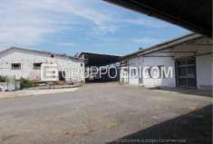 Foto Fabbricati costruiti per esigenze industriali in vendita a Acqui Terme - Rif. 3506721