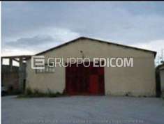 Foto Fabbricati costruiti per esigenze industriali in vendita a Grotteria - Rif. 4504732