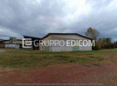 Foto Fabbricati costruiti per esigenze industriali in vendita a Maggiora - Rif. 4526792