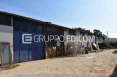 Foto Fabbricati costruiti per esigenze industriali in vendita a Otricoli - Rif. 4499743