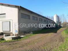 Foto Fabbricati per attivit  agricole di 1.91 mq  in vendita a Rombiolo - Rif. 4498509