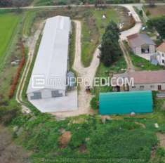 Foto Fabbricati per attivit  agricole di 1908 mq  in vendita a Circello - Rif. 4508192