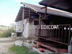 Foto Fabbricati per attivit  agricole di 860 mq  in vendita a Montalto Uffugo - Rif. 4515436