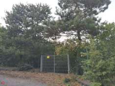 Foto Fabbricato rurale con terreno
