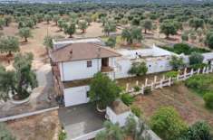 Foto fasano masseria con uliveto