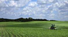 Foto FENILE: Fano - fenile
proponiamo in vendita terreno agricolo di circa 3 ha con ampio accessorio agricolo sviluppato su due livelli allo stato grezzo.