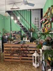 Foto Fiori e Piante in vendita a Crespiatica