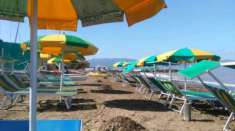 Foto Fiori e Piante in vendita a Orbetello