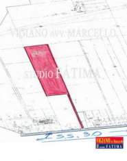 Foto Foggia - Vendesi - Terreno 2,5 ETTARI - via  Napoli.