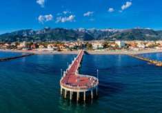 Foto Gelateria in vendita a Marina di Massa - Massa 42 mq  Rif: 1349507