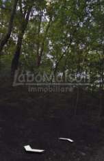 Foto GEMONIO terreno