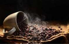 Foto GFP - RISTOBAR ZONA ALTO PASSAGGIO