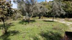 Foto GIFFONI VALLE PIANA LOC. BELVEDERE Terreno di 13 ETTARI
