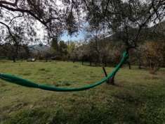 Foto GIFFONI VALLE PIANA LOC. BELVEDERE Terreno di 13 ETTARI