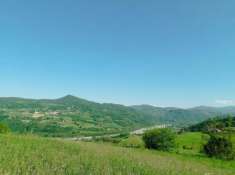 Foto Immersa nel verde delle colline piacentine