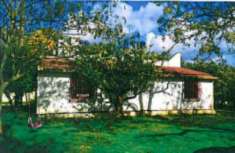 Foto Immobile in asta di 102 m in vendita a Francavilla Fontana