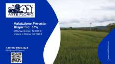Foto Immobile in asta di 10500 m in vendita a Marta