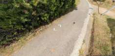 Foto Immobile in asta di 110 m con 3 locali in vendita a Bisignano