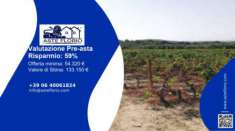 Foto Immobile in asta di 111479 m in vendita a Sardara