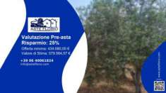 Foto Immobile in asta di 1115 m con pi� di 5 locali in vendita a San Demetrio Corone