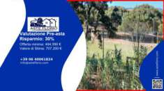 Foto Immobile in asta di 11565 m in vendita a Olbia