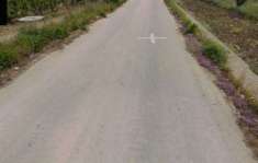 Foto Immobile in asta di 11670 m in vendita a Campobello di Licata