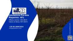 Foto Immobile in asta di 11700 m in vendita a Bientina
