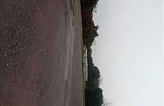 Foto Immobile in asta di 11708 m in vendita a San Cipriano Po