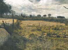 Foto Immobile in asta di 120 m in vendita a Civita Castellana