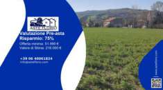 Foto Immobile in asta di 12150 m in vendita a Mercato Saraceno