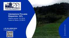 Foto Immobile in asta di 13095 m in vendita a Verzegnis