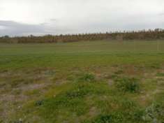 Foto Immobile in asta di 13180 m in vendita a Viterbo