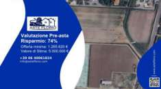 Foto Immobile in asta di 132370 m in vendita a Curinga